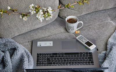 The key to success for working from home: our experience